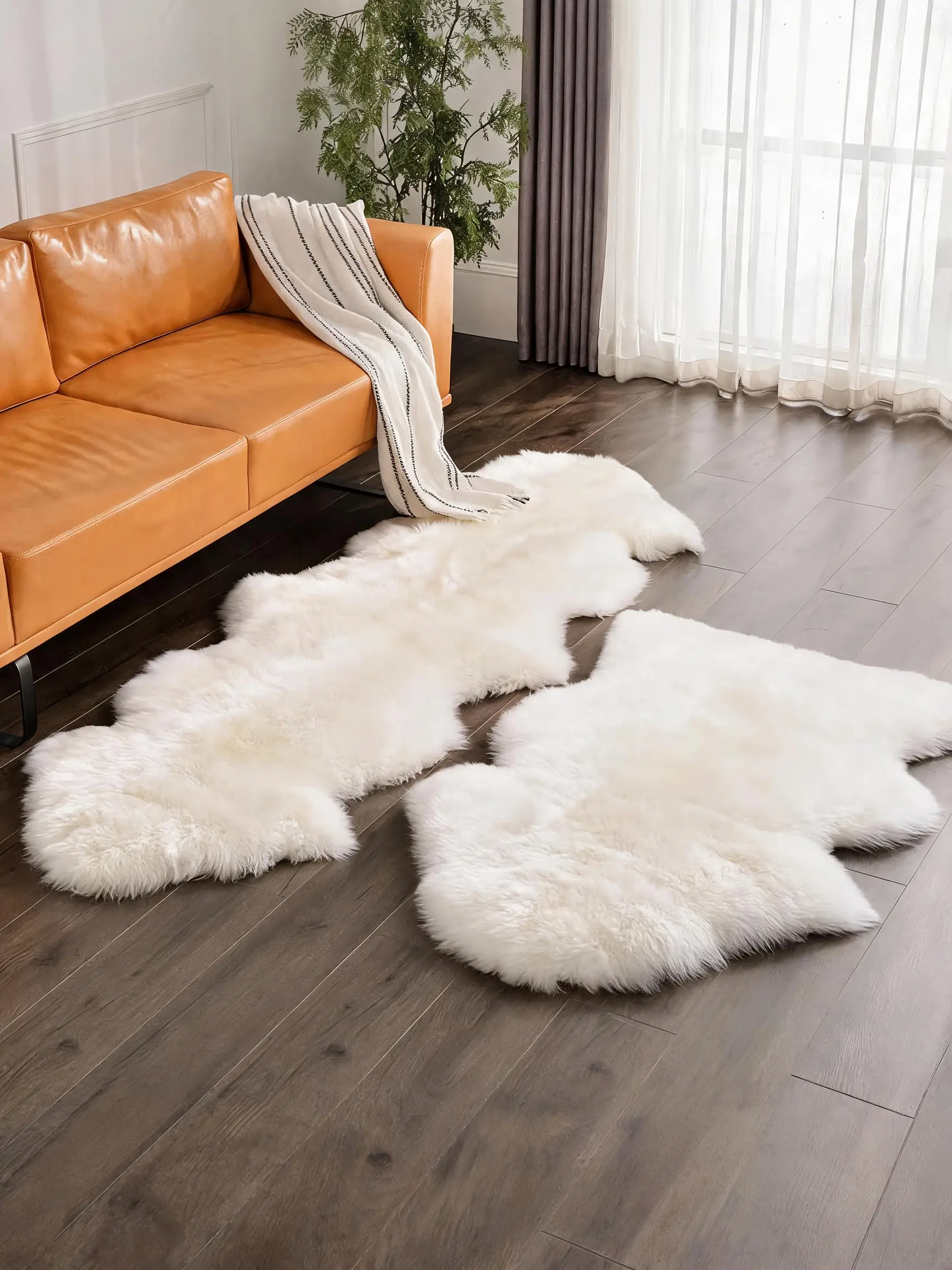 Carpet-85017